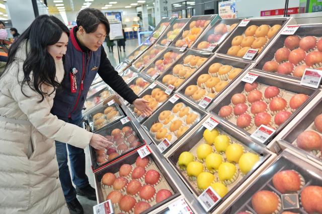 서울 중구에 위치한 롯데마트 제타플렉스 서울역점에서 고객이 직원에게 본판매 설 선물세트 설명을 듣고 있다사진롯데마트