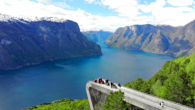 송네 페요르드 사진홈앤쇼핑