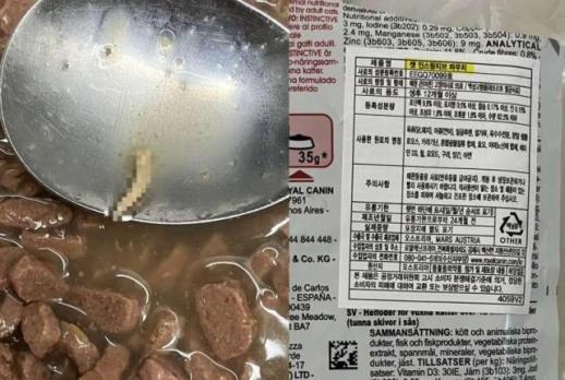 로얄캐닌, 구더기 추정 이물질 논란에 습식사료 재고 회수…소비자 리콜 계획은 없어