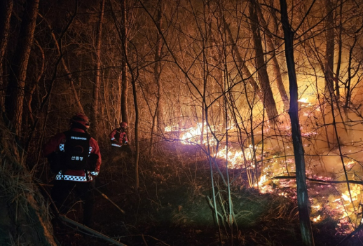 [속보] 소방청, 경주시 문무대왕면 산불 국가소방동원령 2차 발령