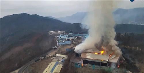 사진산림청·연합뉴스