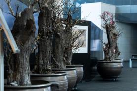 National Museums in South Korea Offer Lunar New Year Events, Free Exhibits