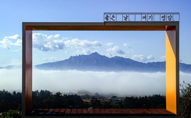 덕진 녹차밭에서 본 월출산 운해사진영암군