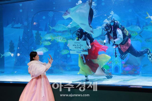 사진유대길 기자 dbeorlf123ajunewscom