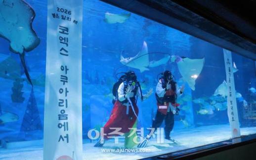 [포토] 코엑스 아쿠아리움에서 즐거운 명절 보내세요~