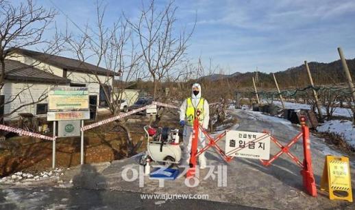 나주에서도 아프리카돼지열병...국무총리 차질 없는 방역 지시