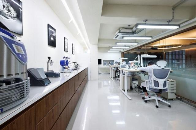 사진하이시간 제공