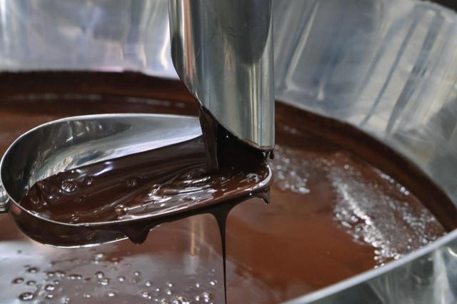 100% 국내생산 카카오매스의 자부심…롯데웰푸드 초코 엔진 양산 BTC 라인 가보니