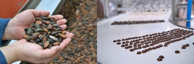 호퍼에 투입되는 카카오빈과 생산되어 나오는 ABC초콜릿 롯데웰푸드 양산공장에서는 카카오빈이 초콜릿 완제품이 되기까지 빈투바 공정을 살펴볼 수 있었다 사진롯데웰푸드