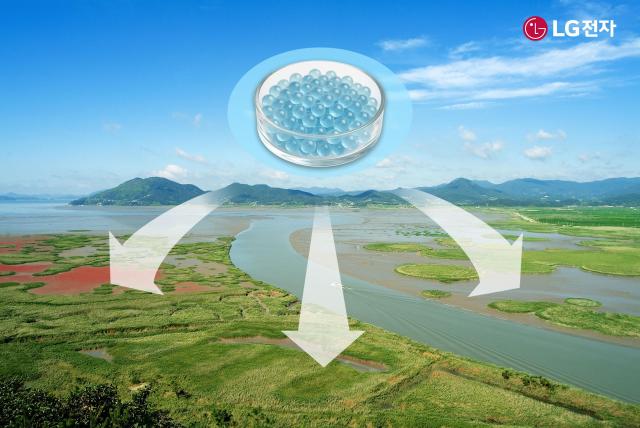 순천만 갯벌에 마린 글라스를 적용하는 모습 예시 사진LG전자