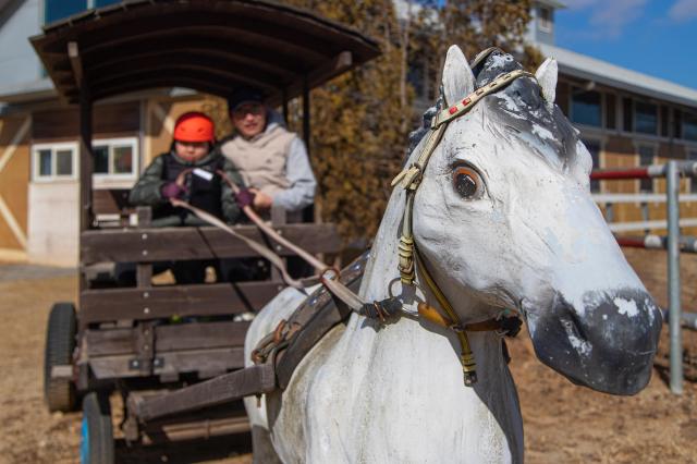 사진경기관광공사