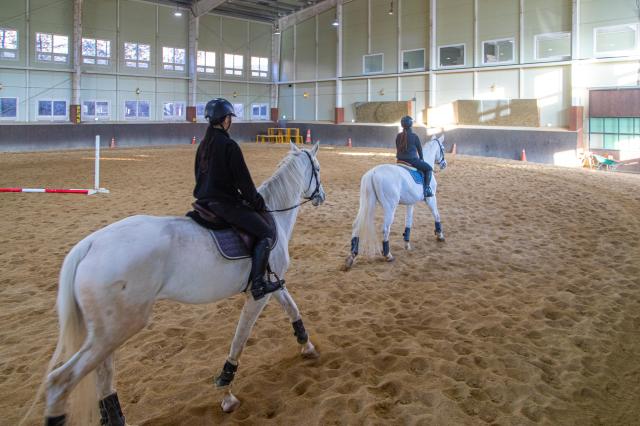 사진경기관광공사