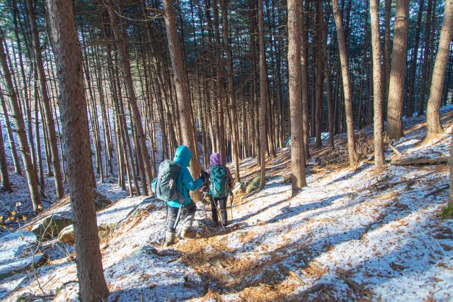 사진경기관광공사