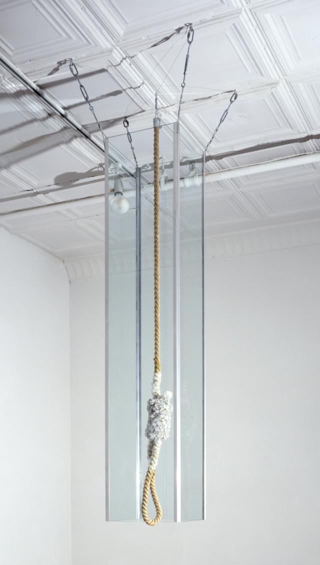 Michael Joo Crystal Noose 1999 aluminium potassium sulfate crystals flax rope polycarbonate aluminium steel cable glass 80 x 18 x 18 in Danny Moynihan Collection Photo Adam Reich 사진한화문화재단
