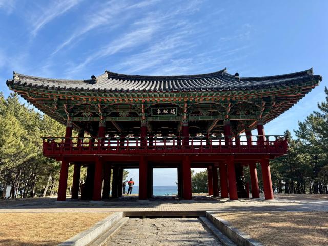 관동팔경의 백미로 꼽히는 월송정은 달빛과 어울리는 솔숲이라는 서정적인 뜻月松과 신선이 솔숲을 날아 넘었다는 신비로운 뜻越松을 동시에 품고 있다 사진강상헌 기자