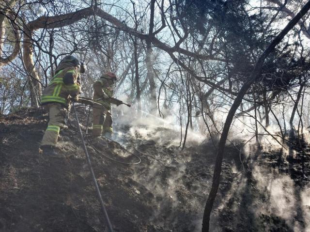 산불 현장 사진창원소방본부