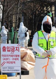 설 연휴 앞두고 닷새 만에 상승한 환율 1440원대 중반