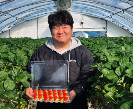 쿠팡, 판로 막힌 논산 딸기 재상품화...지역 농가 지원