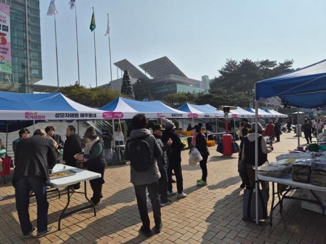 포항시가 13일 시청 앞 광장에서 설맞이 우수 농특산물 직거래장터를 운영하고 있다 사진포항시