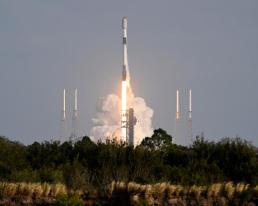 베트남 여성 수입하자... 진도군수 발언에 베트남 사회 분노