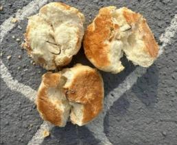 반려견 놀이터에 낚시바늘 빵… 나주 발칵