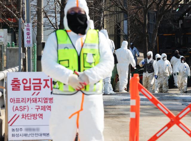 지난  8일 아프리카돼지열병이 발생한 경기도 화성시 한 돼지농장 출입이 통제되고 있다 