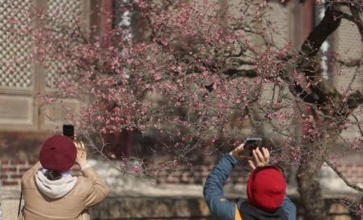 [내일날씨] 설 연휴 마지막 날, 낮엔 13도까지...아침은 영하권 쌀쌀