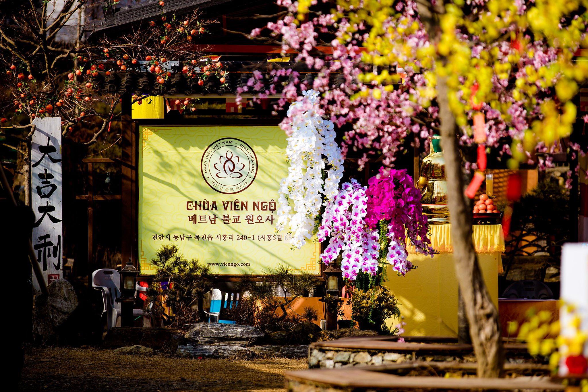 Tết Bính Ngọ đậm đà bản sắc Việt tại Chùa Viên Ngộ (Cheonan)