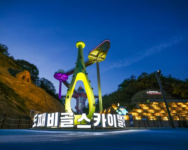 도째비골 스카이밸리 야경 사진동해시