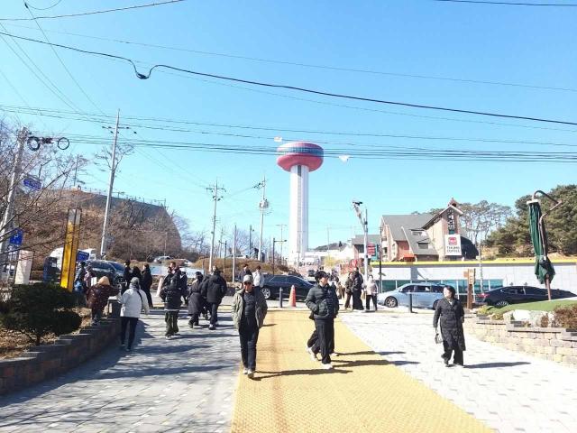 예당관광지 관광객 방문 모습사진예산군