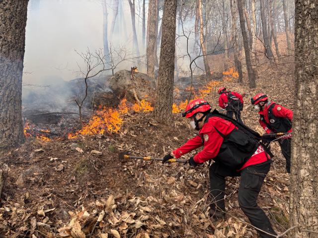 22일 오후 경남 함양군 산불 현장에서 산림청 산불재난특수진화대원이 방화선을 구축하며 진화작업을 벌이고 있다산림청 제공 재판매 및 DB 금지
  