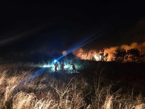강원도 고성 산불 확산…소방당국, 대응 2단계 발령