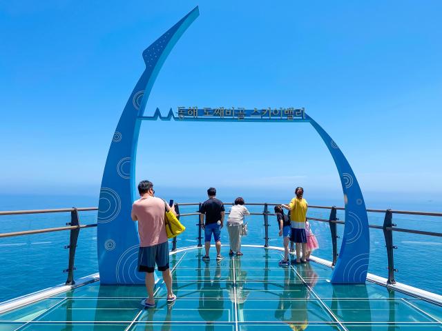 도째비골스카이밸리 사진동해시