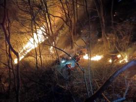 Firefighters struggle to contain wildfire in small town of Hamyang