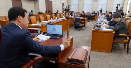 국민 투표법 개정안, 與 주도 행안위 통과…野 표결 불참