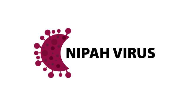 사진게티이미지