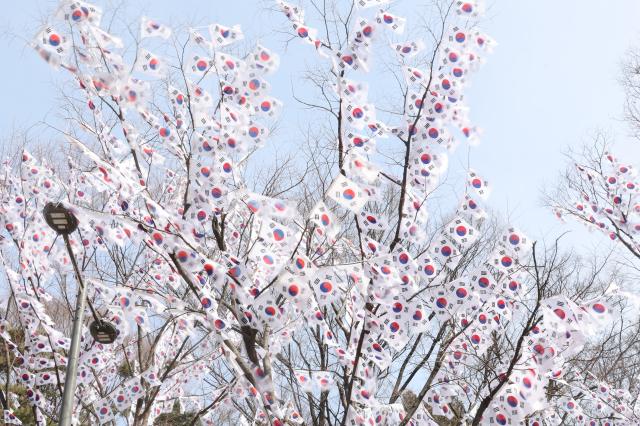 Taegeukgi Korean flags flutter on Taegeukgi Street at Hyochang Park in Yongsan-gu Seoul Feb 23 2026 AJP Han Jun-gu