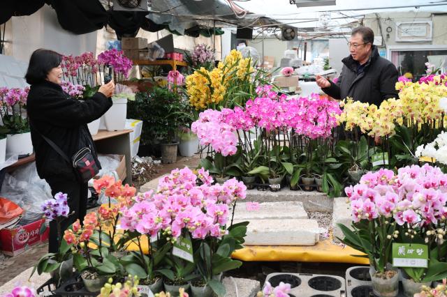 A customer poses for a photo at a flower complex in Gwangmyeong Gyeonggi Province Feb 23 2026 AJP Han Jun-gu