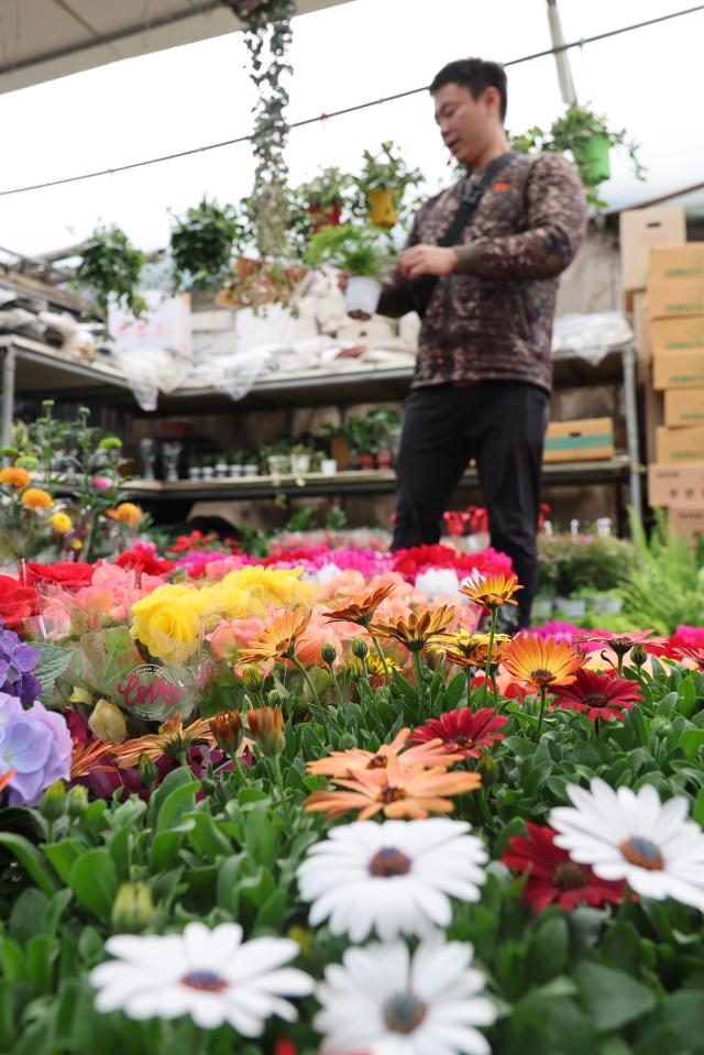 An owner trims wilted leaves from a plant at a flower complex in Gwangmyeong Gyeonggi Province Feb 23 2026