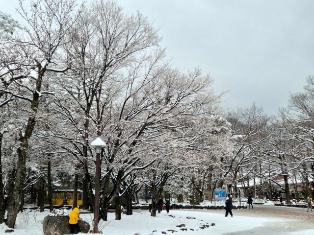 눈 쌓인 설악산 사진연합뉴스