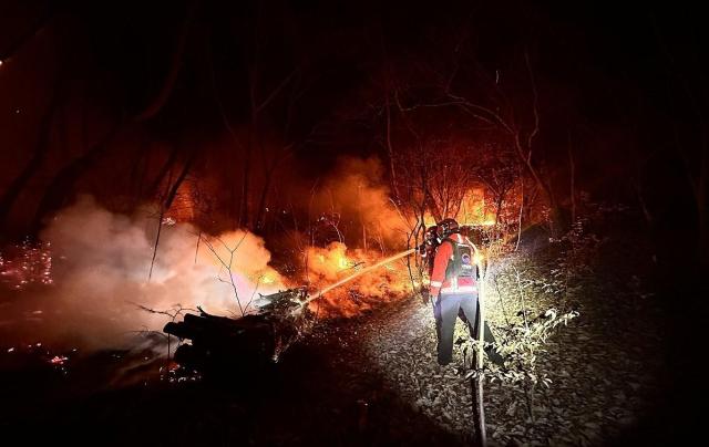 사진산림청·연합뉴스