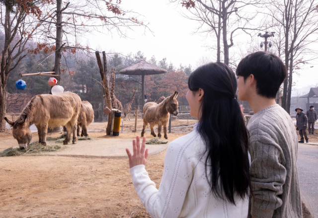 삼성물산 리조트부문이 운영하는 에버랜드가 사파리 이색 동물 체험 프로그램 로스트밸리 워킹 사파리를 오는 26일부터 한 달여간 선보인다고 24일 밝혔다 사진에버랜드