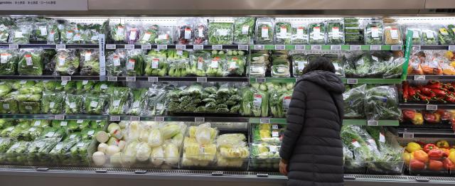 韩国生产者物价连涨五个月 服务与农产品成主要推手