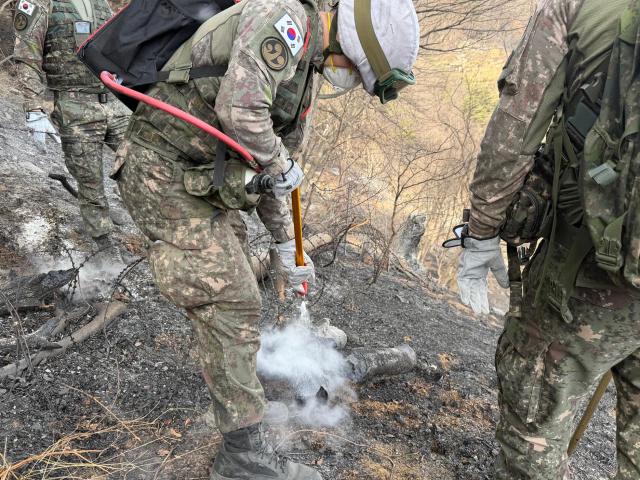 지난 23일 육군 39보병사단 장병들이 경남 함양 일대 산불 현장에서 잔불 정리를 하고 있다 사진육군
