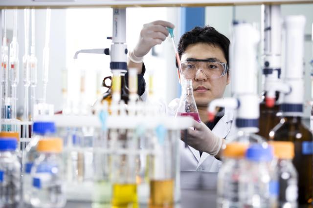 KGC인삼공사 RD본부 연구팀의 실험 모습 사진KGC인삼공사