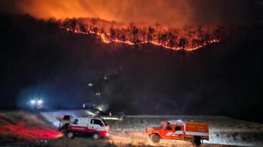 충남도, 예산 대술 산불 진화 협력기관·단체에 감사