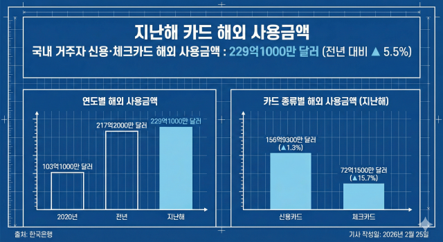 지난해 카드 해외 사용금액 229억 달러…해외여행·직구 증가에 사상 최고치