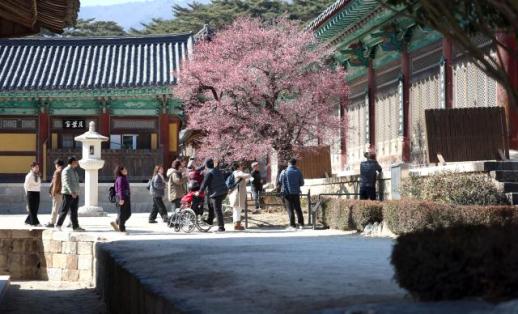 Hàn Quốc mở rộng cơ sở hạ tầng du lịch địa phương…Hướng tới mục tiêu thu hút 30 triệu khách năm 2030