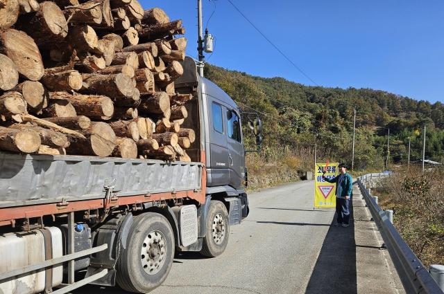 전라남도는 소나무재선충병의 인위적 확산 차단을 위해 방지 대책을 수립하고 강력 대응에 나선다사진전남도