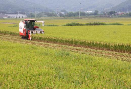 지난해 전국 경지면적 0.3% 줄어…13년째 감소